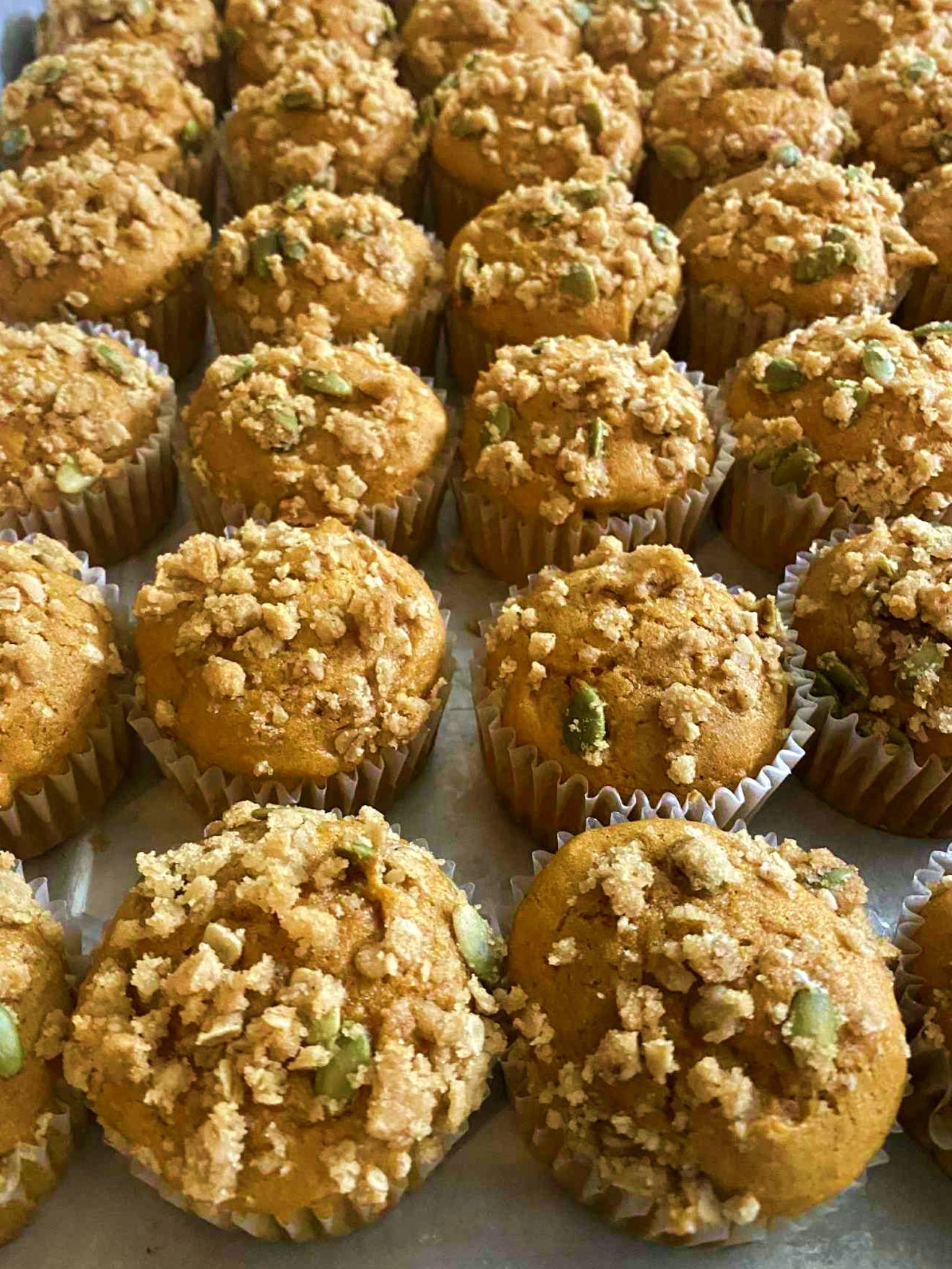 A picture of 15 Fast Friendly Pumpkin Muffins.